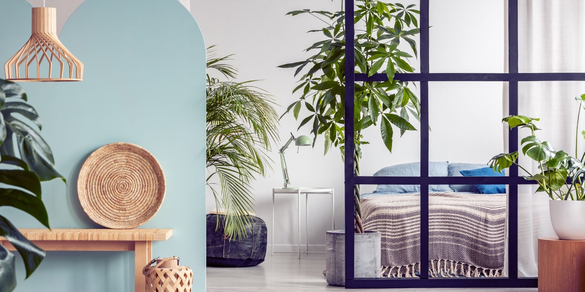 cloison amovible dans un appartement