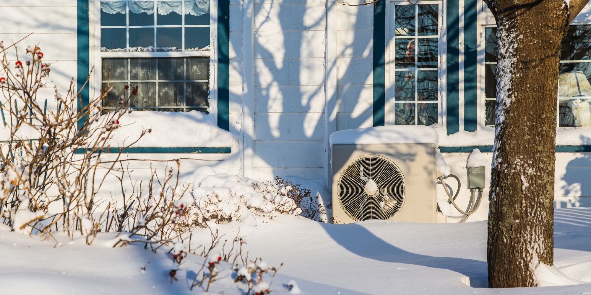 efficacité d'une pompe à chaleur par grand froid