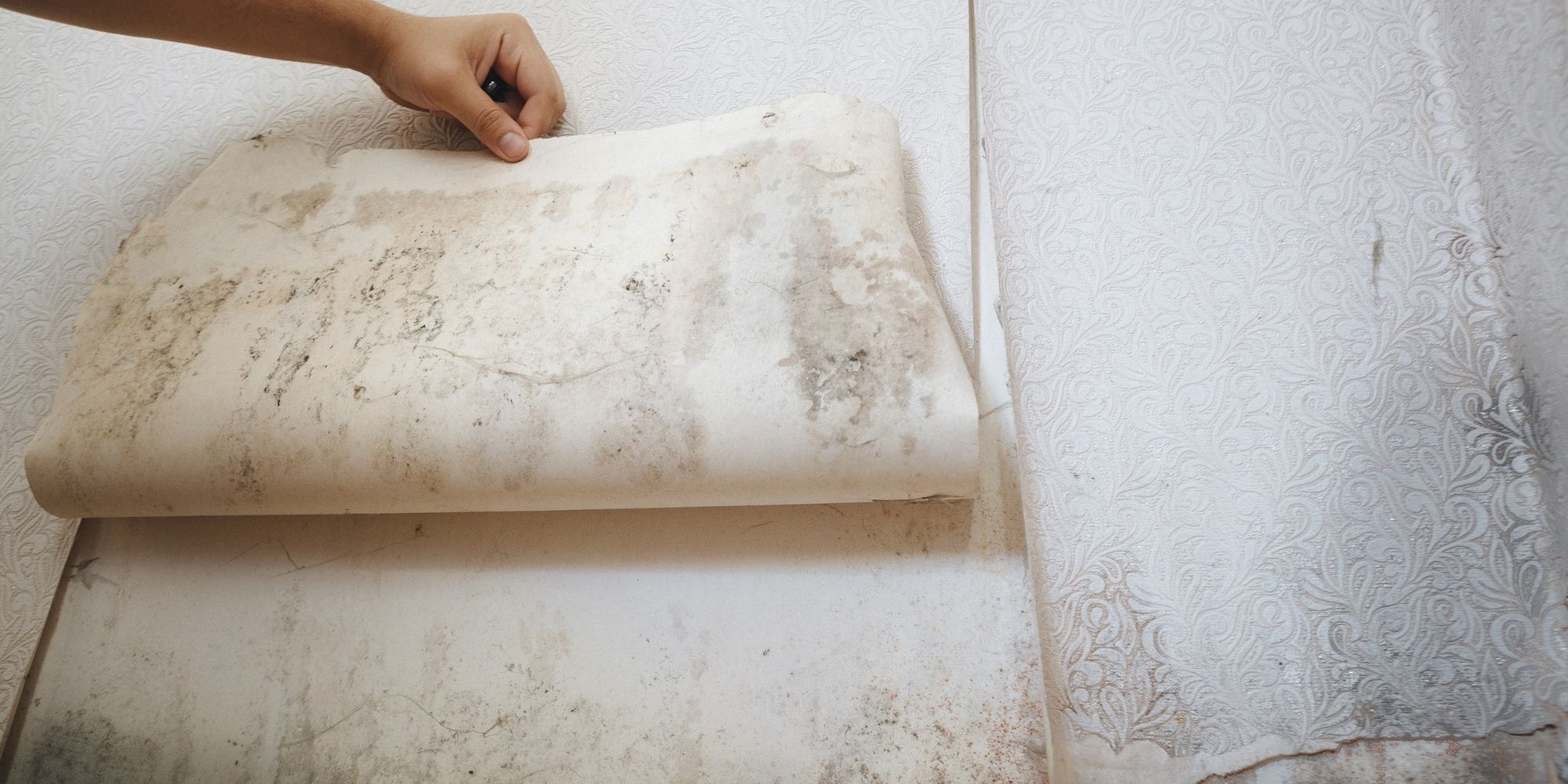 papier peint sur un mur humide