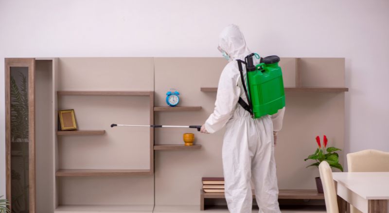 exterminateur en pleine désinfection