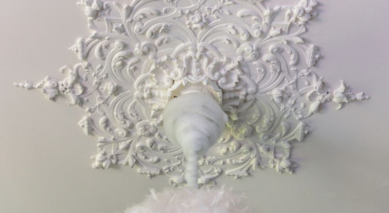 moulure au plafond rosace entourant un luminaire