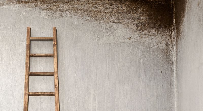 un plafond avec de la moisissure